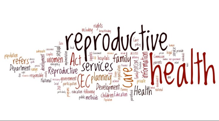 Sexual and Reproductive Health and Rights&nbsp;(SRHR)