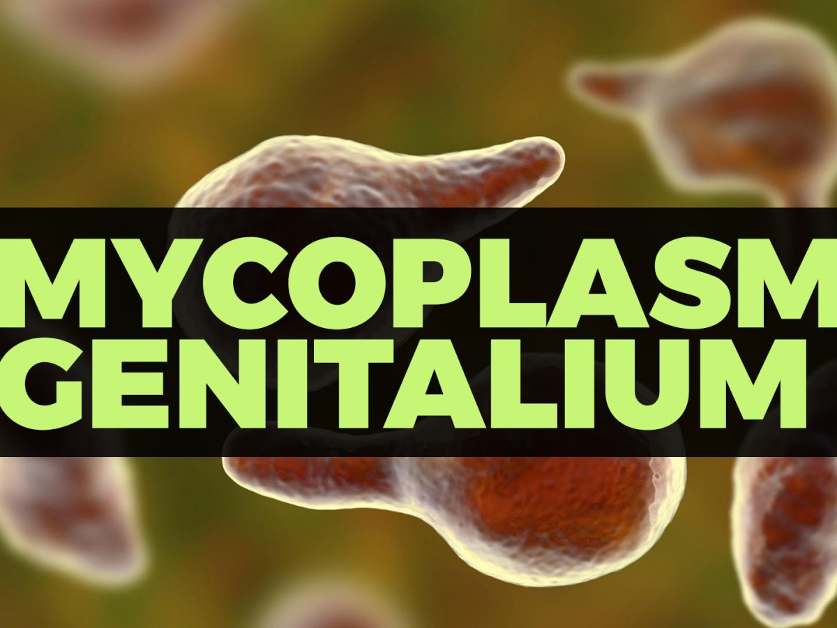 MYCOPLASMA GENITALIUM