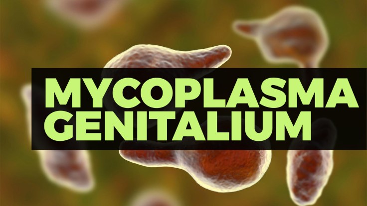 MYCOPLASMA GENITALIUM